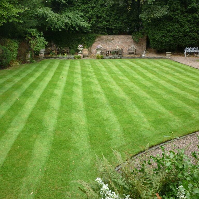 Freshly mowed green grass with mowing stripes