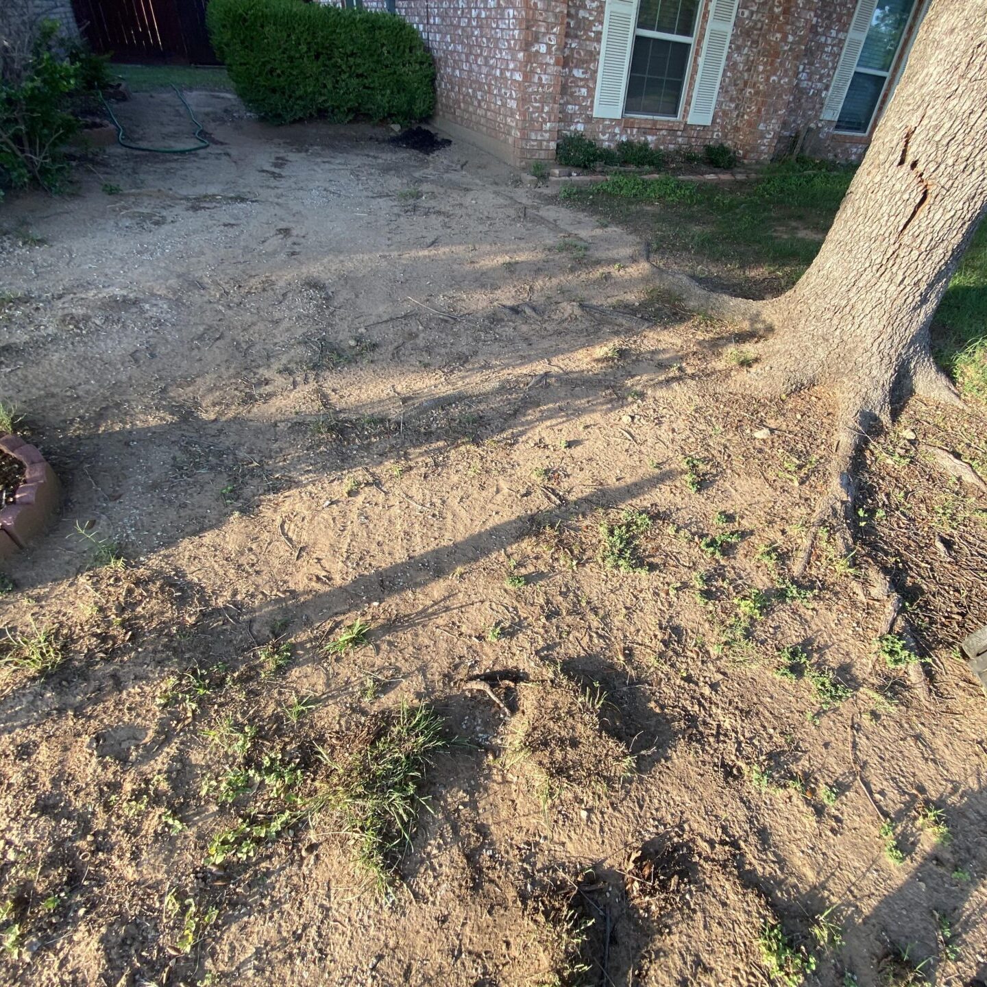 A dirt patch next to a tree